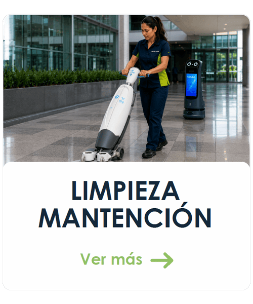 limpieza y matención